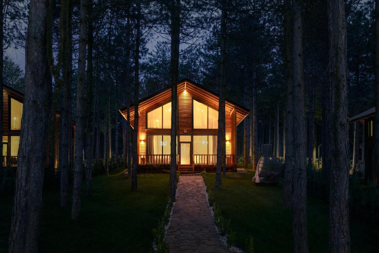 Harmony Village *