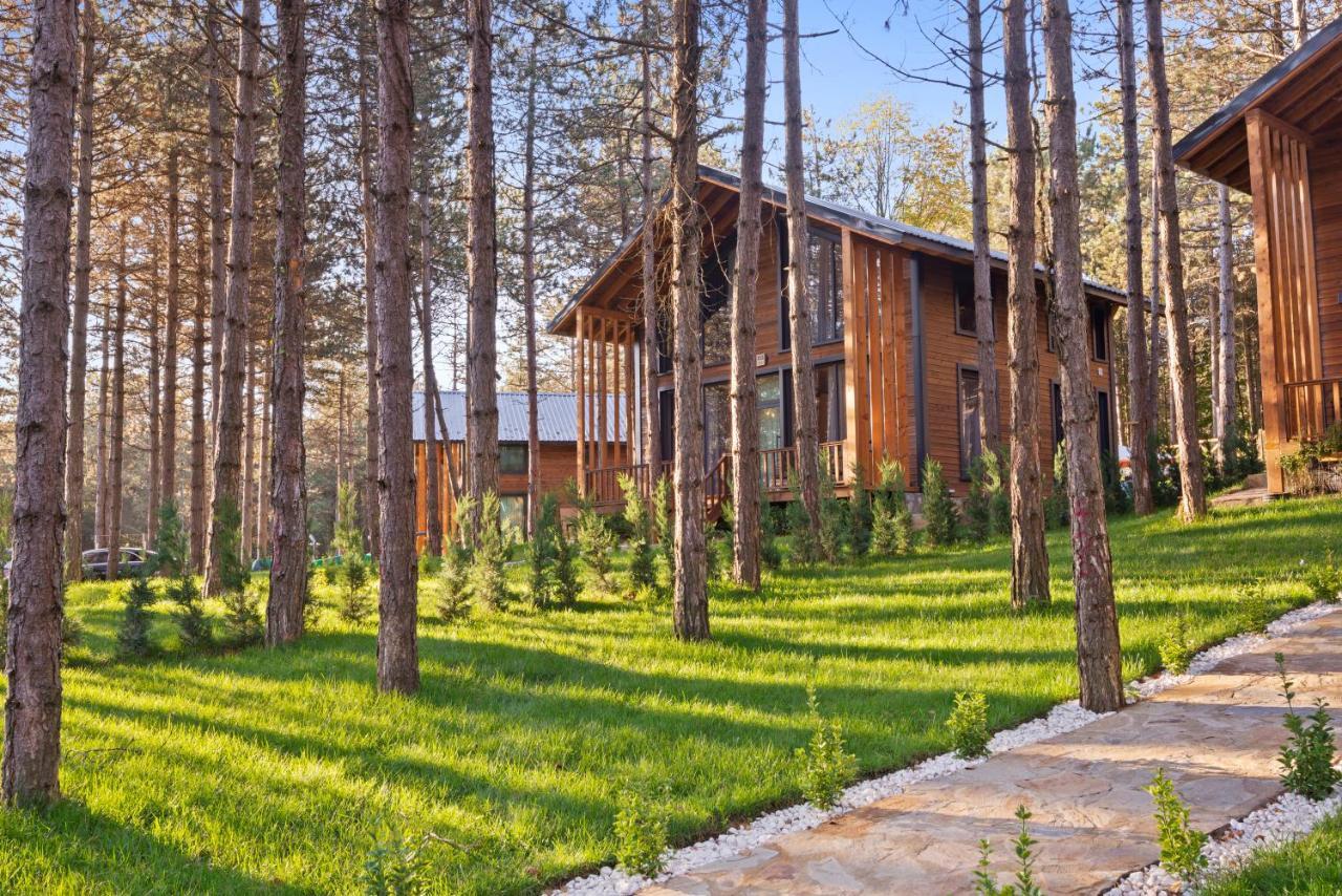 Villa Harmony Village Mahmudiye